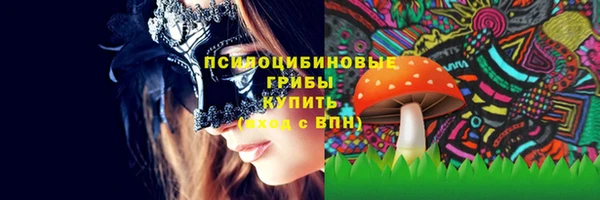 не бодяженный Бородино