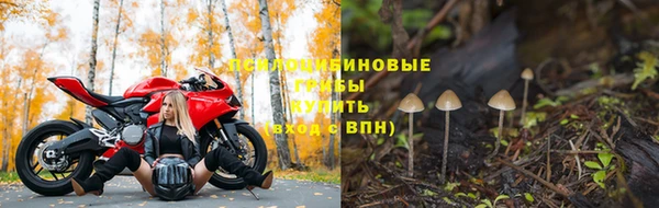 не бодяженный Бородино