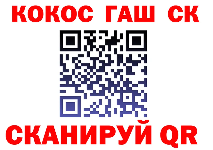 А ПВП СК вход shop hydra Холмск