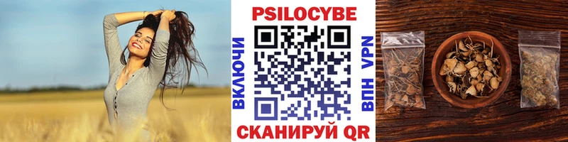 Псилоцибиновые грибы ЛСД Холмск